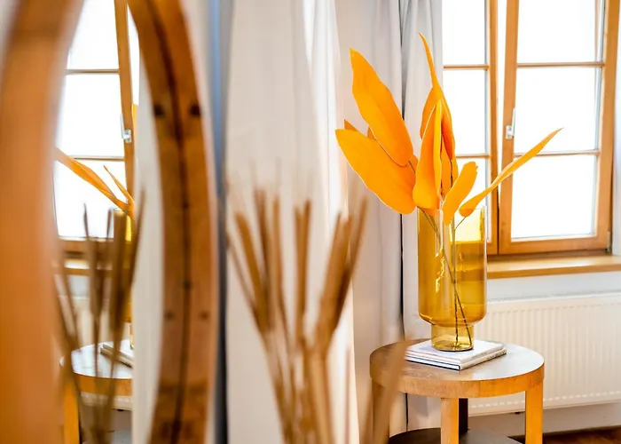 City Apartment In Der Bregenzer Innenstadt